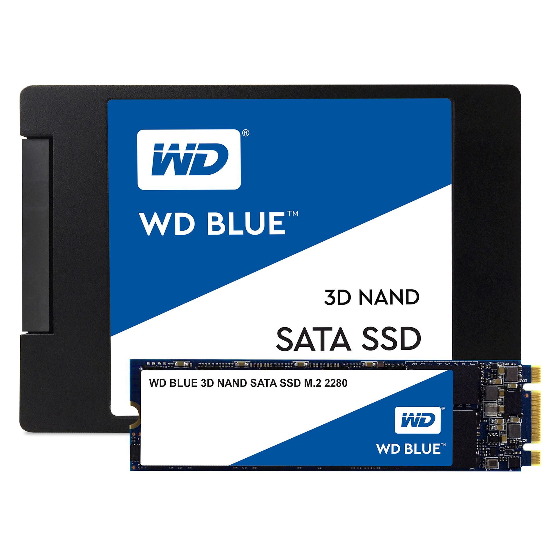 hierba Sociedad Bronceado Western Digital Blue 500GB SSD | TeqFind