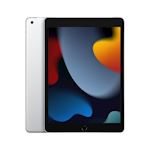 Apple iPad 10.2 Wi-Fi + Cellular 256GB Silver