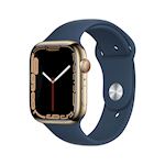 Apple Watch S7 Stainless Steel 45mm Gold