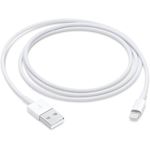 Apple Lightning /USB Data Cable 1m, White